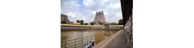 சிதம்பரம் ஆத்மநாதசுவாமி